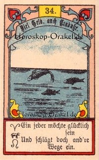 Die Fische im Schütze Monatshoroskop an diesem Tag