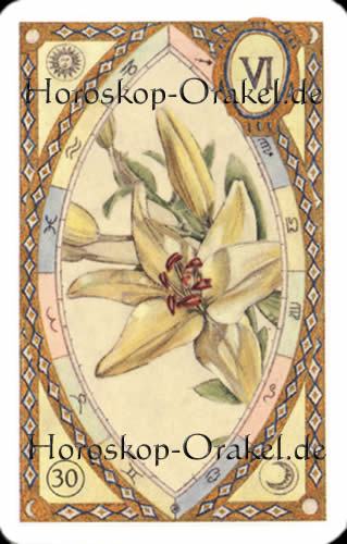 Die Lilien, Schütze Monatshoroskop