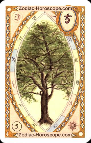 Der Baum, Ihr Tageshoroskop Liebe für heute