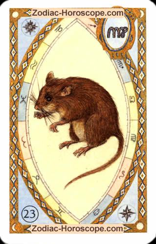 Die Mäuse, Ihr Tageshoroskop Liebe für heute